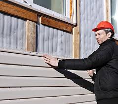 Best Historical Building Siding Restoration  in Judsonia, AR